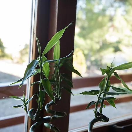 Casa El Mirador Hébergement de vacances